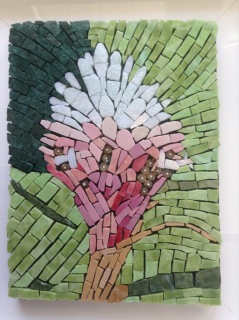 9 Fleur du Costa Rica pour Rita